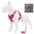 Conjunto de arnês e coleira para animais de estimação, acessórios para cães
