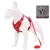 Conjunto de arnês e coleira para animais de estimação, acessórios para cães - PetTrend