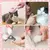 Kit de beleza com escova para gatos, 8 peças, com cortador de unhas e arquivos - loja online