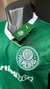 Torcedor Palmeiras 25/26 - Tiger Esports