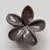 FLOWER CHAW CLIPS