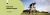 Banner de Uli Januiot