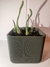 Verde Prisma