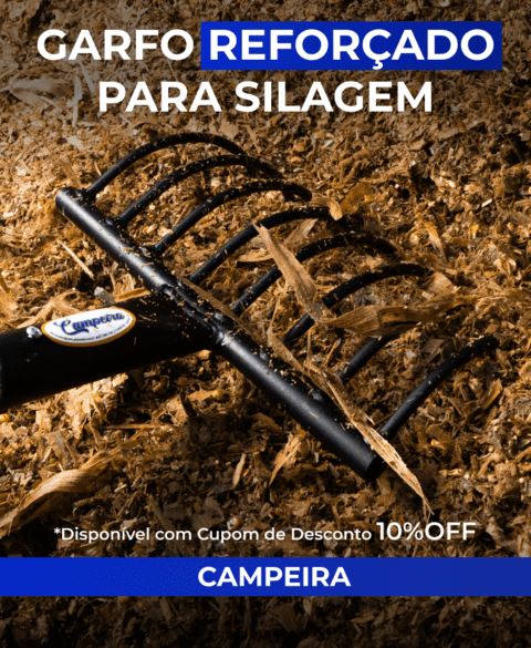 Carrossel 1