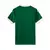 Camisa Palmeiras Puma I 25/26 Jogador na internet