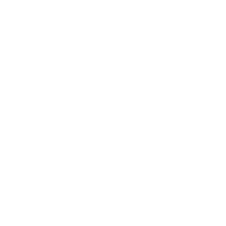 Fiorito art