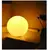 Imagem do Kit 2 Luminárias Lua 3D Abajur Pequena Luz Decoração
