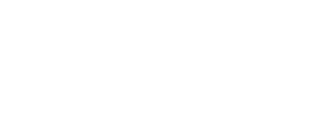 Formula Vital