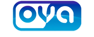 RavenSystem