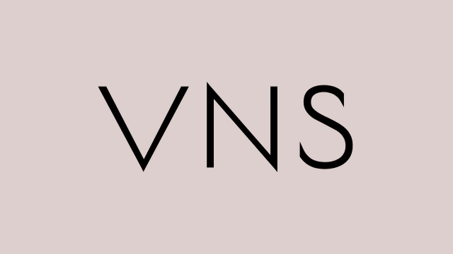 V N S Semijoias