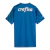 Camisa Palmeiras Goleiro I 24/25 - Torcedor Puma Masculina - Azul - comprar online
