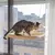 Imagem do Cama para Gato Janela Suspensa Ventosa Caminha Rede Gatos