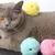 Brinquedos De Bola De Gato Inteligentes Kitten Plush Treinamento Elétrico Inter na internet