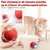 Brinquedo Bola Automática Interativo para Pets – Diversão Sem Fim para Seu Melhor Amigo! ??? na internet