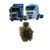 VALVULA ECAS DUPLA SUSPENSAO TRASEIRA MAN TGX SC SERIE 5