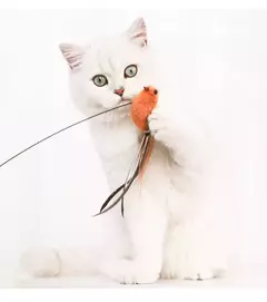 Imagem do Brinquedo para gato pássaro interativo