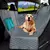 PETRAVEL-Dog Car Seat Cover, impermeável Pet Viagem Hammock, Traseiro Back Seat - comprar online