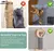 Parede anti gato risco sofá diy gatos placa de risco sofá proteção patas afi na internet
