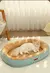 Kimpets cama para gatos, canil para animais de estimação, antiderrapante, inve - loja online
