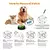 Kit 4 botões PETSpeech - comprar online