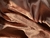 Imagen de Gorritos de saten