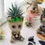 Vaso Decorativo Groot – Estilo Moderno para Suas Plantas - loja online