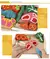 Simulação de cozinha infantil - brinquedo de madeira clássico jogo montessori - menino e menina