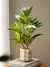 Plantas artificiais azaleas de 21-40cm, árvore de borracha falsa, folhas de pal
