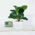 Imagem do Plantas falsas bonsai simulação pote plantas verdes plantas artificiais mesa