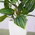 Plantas falsas bonsai simulação pote plantas verdes plantas artificiais mesa - comprar online