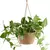 1 Conjunto Jardim pendurado plantador macrame - Cesta de armazenamento de plantas na internet