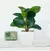 Plantas falsas bonsai simulação pote plantas verdes plantas artificiais mesa na internet