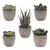 Mini plantas artificiais de aloe, bonsai, pequena árvore simulada, plantas em v na internet