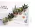 Mini plantas artificiais de aloe, bonsai, pequena árvore simulada, plantas em v na internet