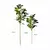 Imagem do Flor de figo artificial realista 80/120cm tropical