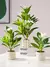 Imagem do Plantas artificiais azaleas de 21-40cm, árvore de borracha falsa, folhas de pal