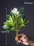 Plantas artificiais azaleas de 21-40cm, árvore de borracha falsa, folhas de pal - comprar online
