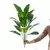 1pc plantas artificiais grande palmeira tropical falso plantas de banana folhas