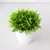 Plantas envasadas artificiais para decorações home, mini bonsai verde, árvore - loja online