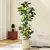 Flor de figo artificial realista 80/120cm tropical na internet