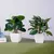 Plantas falsas bonsai simulação pote plantas verdes plantas artificiais mesa