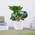 Plantas falsas bonsai simulação pote plantas verdes plantas artificiais mesa - Loja Casa do Juba