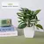 Plantas falsas bonsai simulação pote plantas verdes plantas artificiais mesa - comprar online