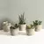 Mini plantas artificiais de aloe, bonsai, pequena árvore simulada, plantas em v
