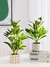 Plantas artificiais azaleas de 21-40cm, árvore de borracha falsa, folhas de pal