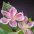 Flor de figo artificial realista 80/120cm tropical - loja online