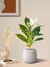 Plantas artificiais azaleas de 21-40cm, árvore de borracha falsa, folhas de pal - Loja Casa do Juba
