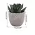 Mini plantas artificiais de aloe, bonsai, pequena árvore simulada, plantas em v - comprar online
