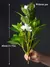 Plantas artificiais azaleas de 21-40cm, árvore de borracha falsa, folhas de pal - Loja Casa do Juba