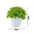 Plantas envasadas artificiais para decorações home, mini bonsai verde, árvore - comprar online